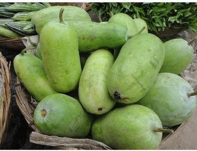 Cloud Farm AshGourd/Peta Seed(15 per packet)
