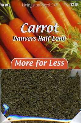 VibeX VLR-491 Danvers Half Long Carrot Seeds Seed(500 per packet)