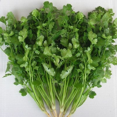 Infintegreen CORIANDER Seed(100 per packet)