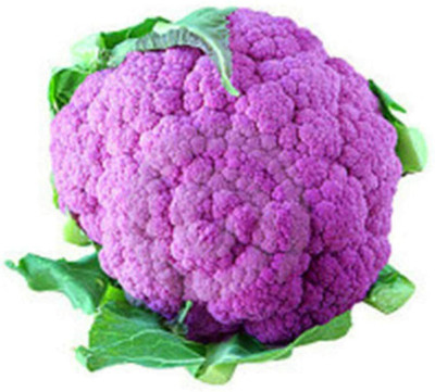 CYBEXIS Purple Cauliflower Seeds Broccoli Vegetable Seeds2000 Seeds Seed(2000 per packet)