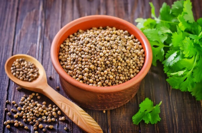 PRASEED Cilantro/Coriander Herbs Seed(120 per packet)