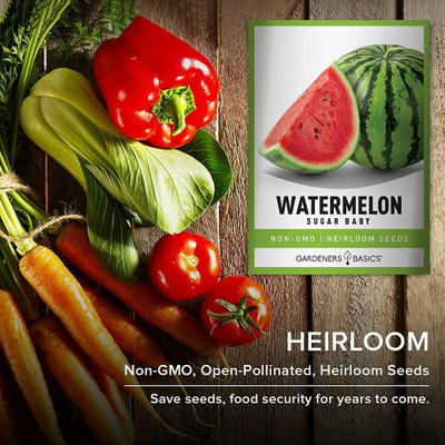 Qualtivate PUA-7A Watermelon Sugar Baby Heirloom Variety Seed Seed(100 per packet)