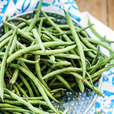 PMA Gwar Fali/Cluster Beans/Beans Seed Seed(25 per packet)