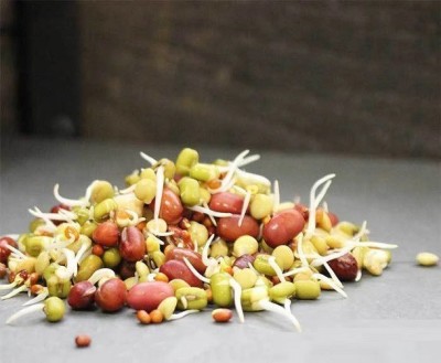 CYBEXIS BEAN SALAD MIX-100 Seeds Seed(100 per packet)