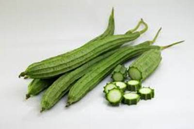 SM Exports Arka Sumeet Ridge gourd vegetable seeds 100 seeds per pack. Seed(100 per packet)
