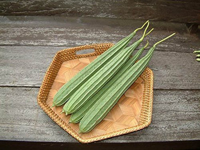 Aywal Ridge gourd (courge torchon) Seed(275 per packet)