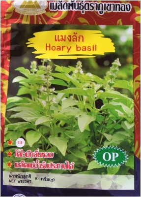 VibeX HUA-31 - Thai Hoary Basil - (13500 Seeds) Seed(13500 per packet)