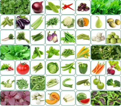 HYBRID All vegetable seeds variety 2500+seeds use kitchen garden Seed(100 g)