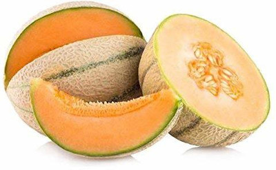 CYBEXIS NBIR-42 - Thumattikai – Muskmelon - (150 Seeds) Seed(150 per packet)