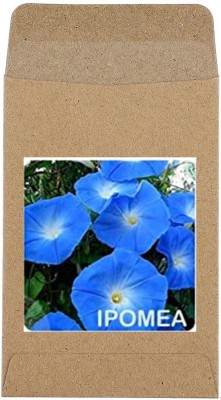 CYBEXIS Ipomea Flower Seeds-50 Seeds Seed(50 per packet)