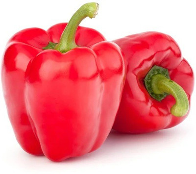 CYBEXIS CAPSICUM RED SEEDS800 Seeds Seed(800 per packet)