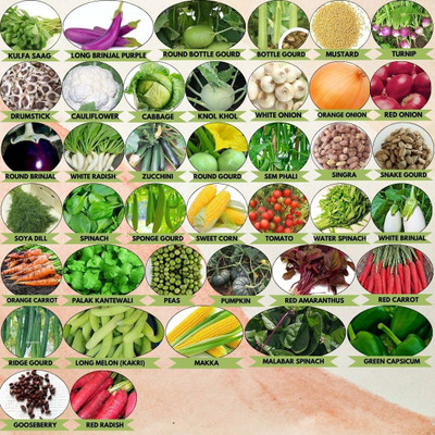 Vrisa Green 40 Vegetable Garden Seed Combo - Your All-in-One Garden Solution Seed(40 per packet)