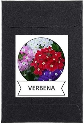 CYBEXIS Verbena Flower Seeds100 Seeds Seed(100 per packet)