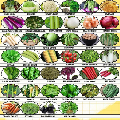 Greenery Hub 40 Vegetable Seed Collection for Home Gardens Seed(40 per packet)