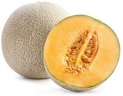 CYBEXIS XLR-6 - Lyallpur F1 Hybrid Muskmelon - (1350 Seeds) Seed(1350 per packet)