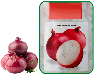 WILLVINE AGRI -VI Fursungi Onion Plant Seeds [5g] Seed(3000 per packet)