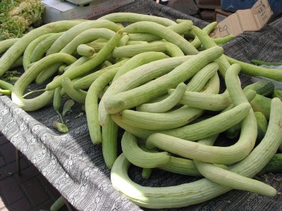 Qualtivate PUAS-9A Rare Cucumber Armenian Long Seed(300 per packet)