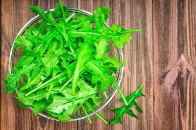 VibeX TLX-24 - Organic Roquette Arugula Herb - (250 Seeds) Seed(250 per packet)