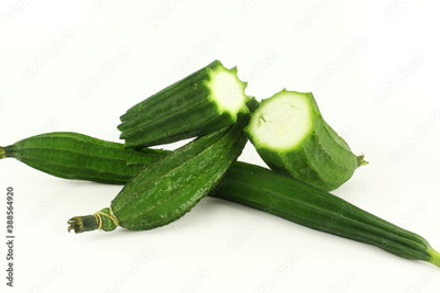 Paudhaa FI QUALITY RIDGE GOURD Seed(23 per packet)