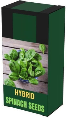 Qualtivate GBPT-4A Hybrid Spinach Chitra Seed(300 per packet)