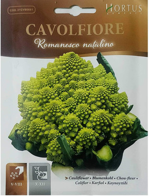 WILLVINE Fast High Germination Broccoli Romanesco Seeds -[200 Seeds] Seed(200 per packet)