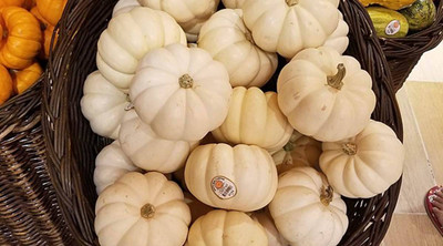 VNR Fresh VNR Pumpkin Hybrid Vegetable Seed(100 per packet)