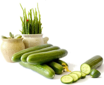 CYBEXIS Doll Fruit Cucumber Seeds2000 Seeds Seed(2000 per packet)