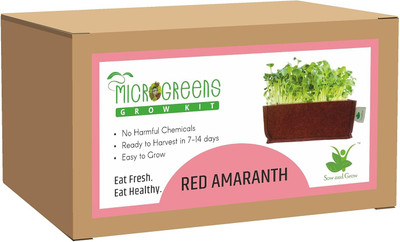 Sow and Grow Microgreens Grow Kit: Red Amaranth, Easy to Use Kit for Beginner Gardeners Seed(1 per packet)
