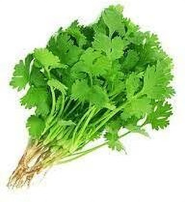 Aywal Duck-Tongue Mexican Coriander Seed(2500 per packet)