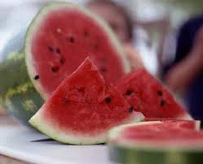 VibeX XLR-40 - Watermelon Black Diamond - (1350 Seeds) Seed(1350 per packet)