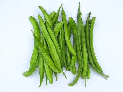 XOLDAA CLUSTER BEANS SEEDS Seed(40 per packet)