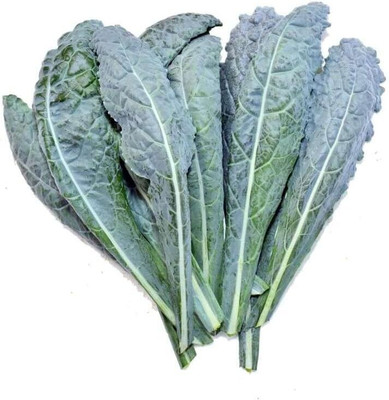 WILLVINE MEH -IX Lacinato Kale Seed, Non-GMO [1g] Seed(300 per packet)