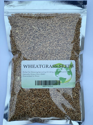 Biosnyg Organic Spring Red Wheatgrass Seeds for Juicing & Health Drinks-(5000 Seeds) Seed(5000 per packet)