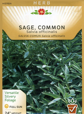 CYBEXIS PAU-45 - Herb Sage Common - (1350 Seeds) Seed(1350 per packet)