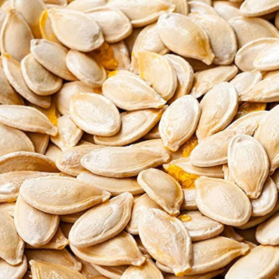Pbevergreen Large pumpkin seeds Pack of 44 Seed(44 per packet)