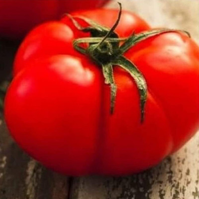 Biosnyg Non GMO Beefsteak Tomato Vegetable Seeds for Garden - (2000 Seeds) Seed(2000 per packet)