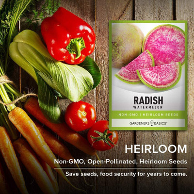 WILLVINE LXI-113 Watermelon Radish Seeds-20 Seed(20 per packet)
