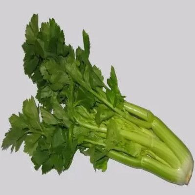 Aro Celery, Ajmod Seed(15 per packet)