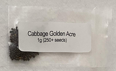WILLVINE SCI -X Cabbage Copenhagen Market [2.5g] Seed(750 per packet)