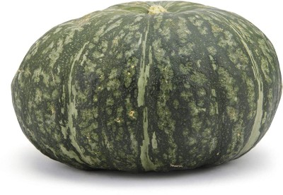 Quentova Pumpkin Kabocha Conventional-NDIR-7T Seed(50 per packet)