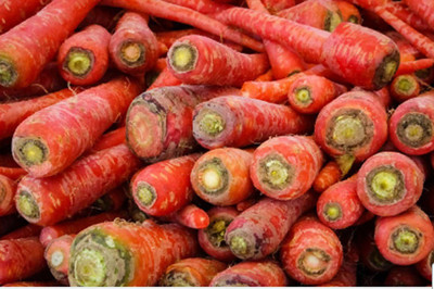 RUDAN Atomic Red Carrot Seed(800 per packet)