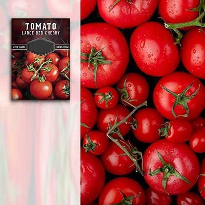 Quentova Large Red Cherry Tomato 1gm Seeds Seed(400 per packet)