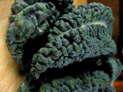 KNESSiN Kale Dark Green Seed(200 per packet)