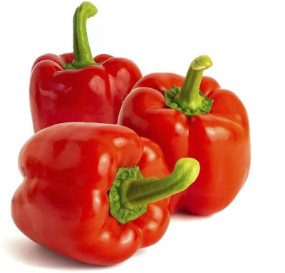 Quentova Capsicum Red/Bell Pepper-6T-XLR Seed(75 per packet)