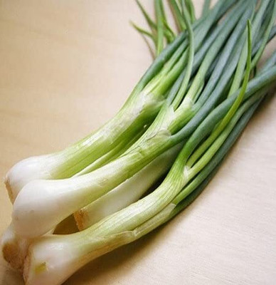 Qualtivate GXL-6AT Spring Onion Seeds Seed(500 per packet)