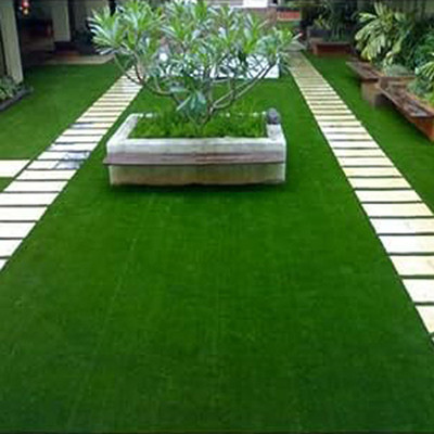 SeeGreen Carpet grass seeds for home garden// lawn grass seeds for home garden_10010 Seed(10009 per packet)