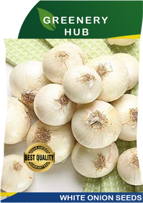 Greenery Hub High-Quality White Onion Seeds for a Flavorful Garden Harvest Seed(50 per packet)