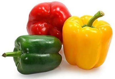 KANAYA Shimla mirch Seed(280 per packet)
