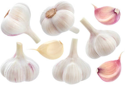 Avysa Garlic Cloves Seed(80 per packet)
