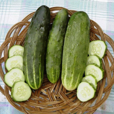 WHYGI Cucumber Paraiso F1 Organic Seed-CuC_1444 Seed(300 per packet)